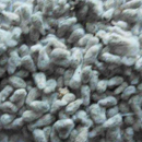 Cottonseed