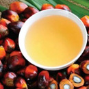 Palm oil