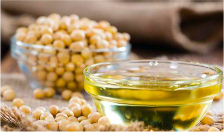 Production Line of Pressing and Immersing Soybean Oil