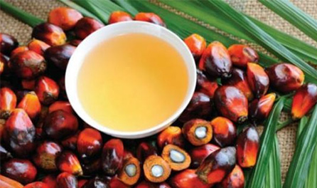 Production process of palm oil
